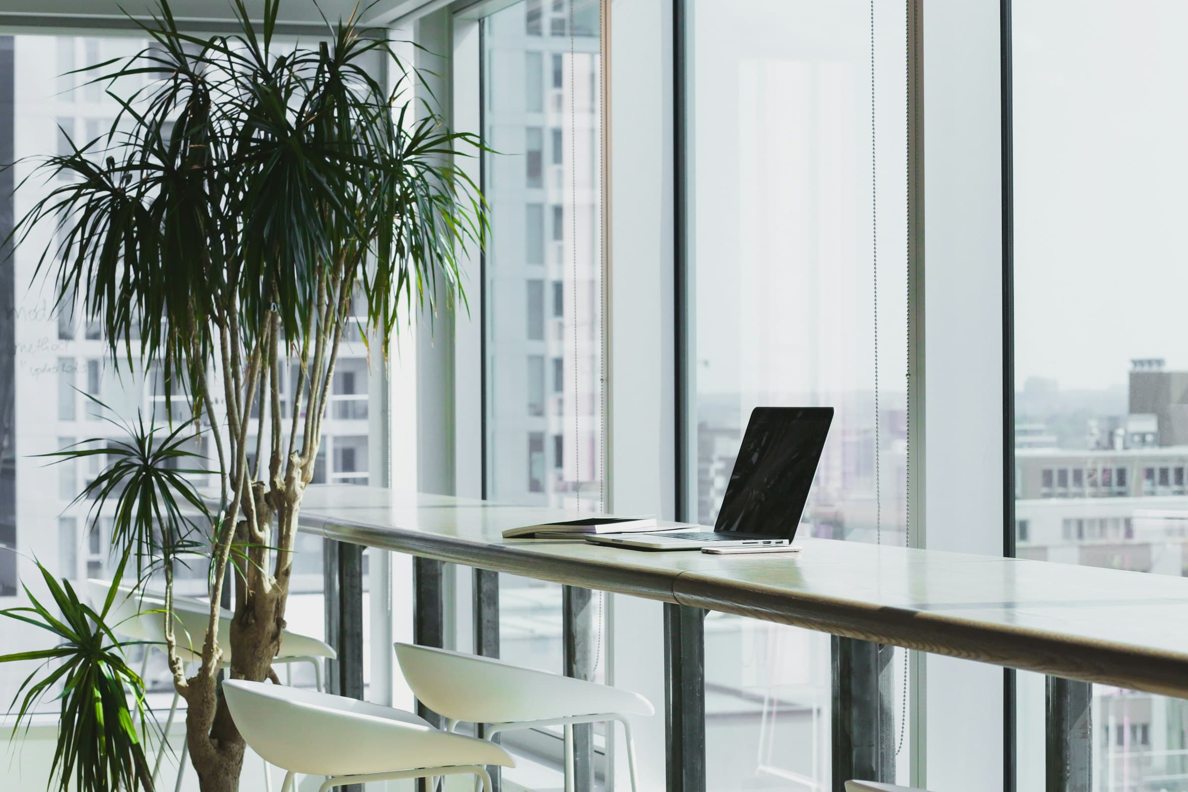 Office floor with full-height glazing and planting